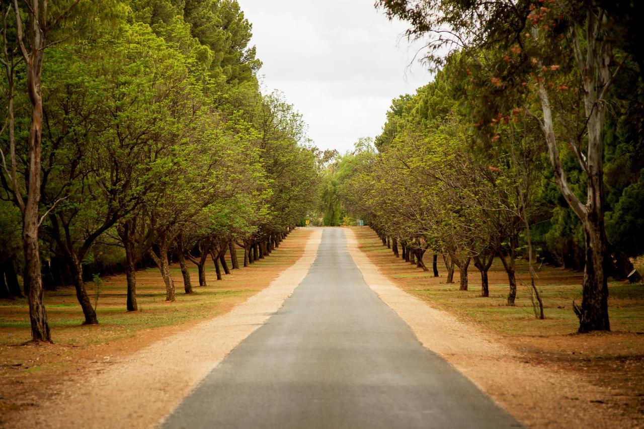 Renmark Country Club Exterior foto