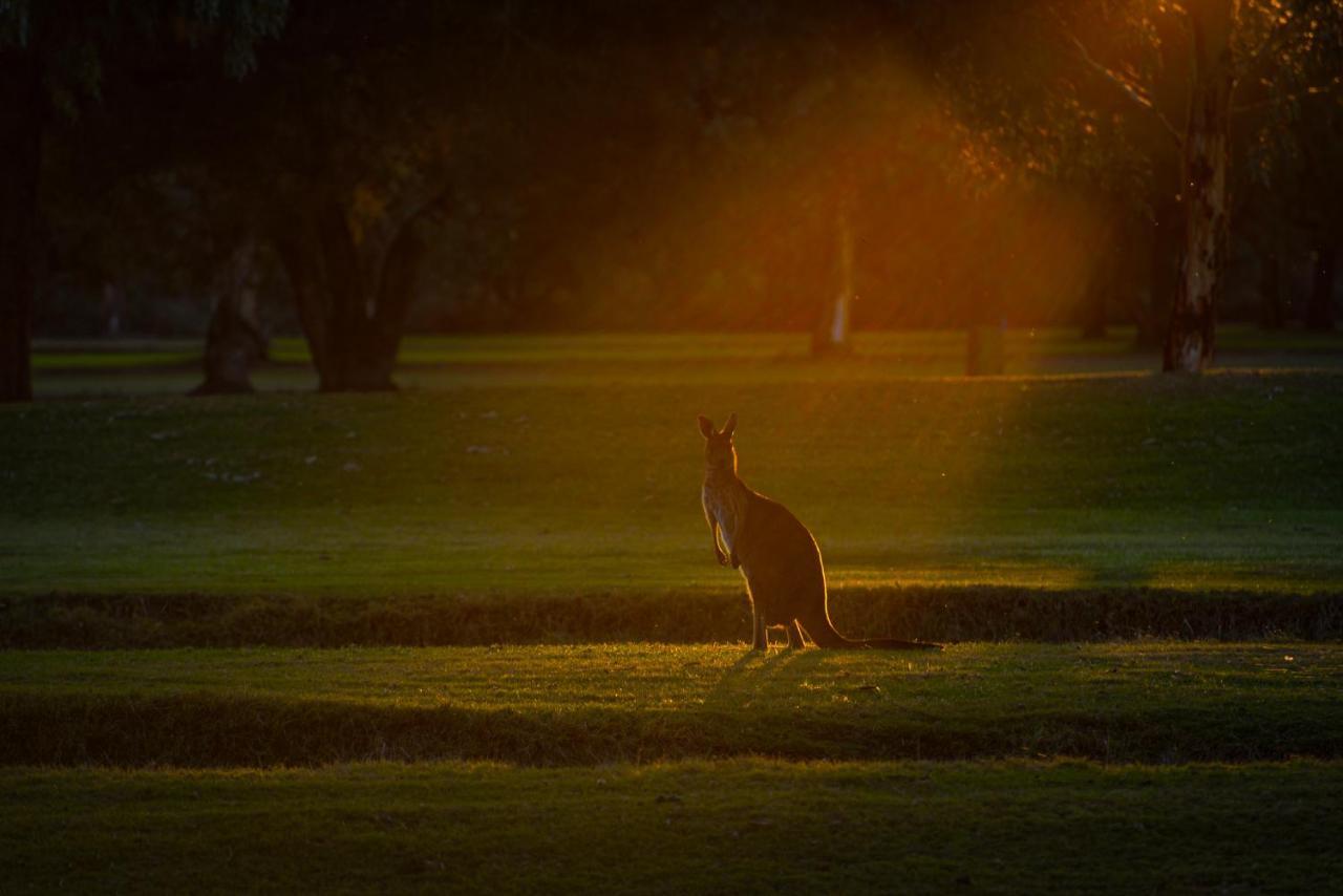 Renmark Country Club Exterior foto