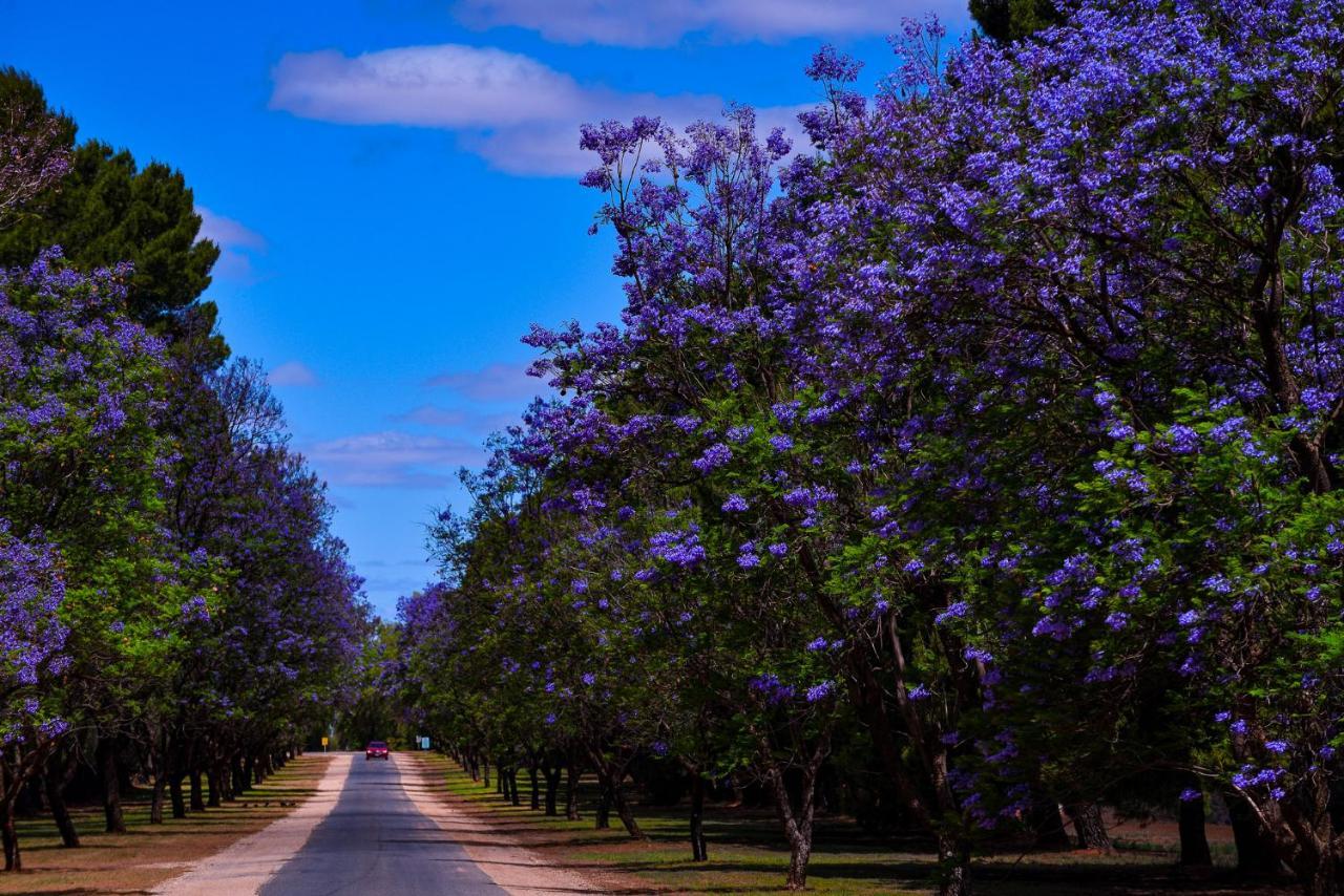 Renmark Country Club Exterior foto