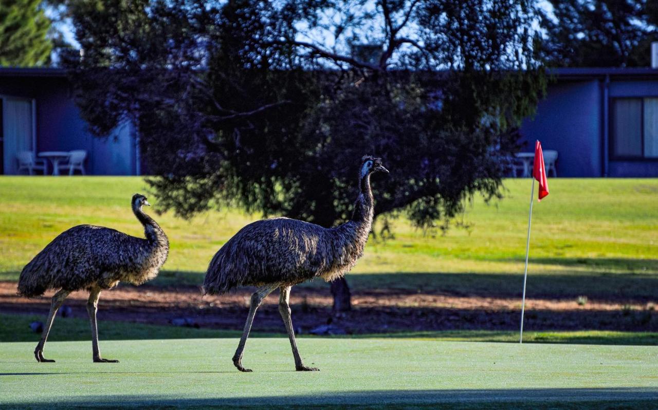 Renmark Country Club Exterior foto